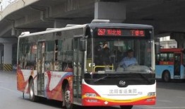 267路公交车爆料新闻,揭秘日常出行中的不为人知故事